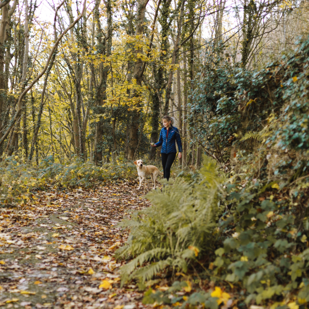 Spending time outside in nature has been scientifically proven to lower anxiety.  Walking, hiking, or doing exercises like yoga can all help reduce holiday anxiety.